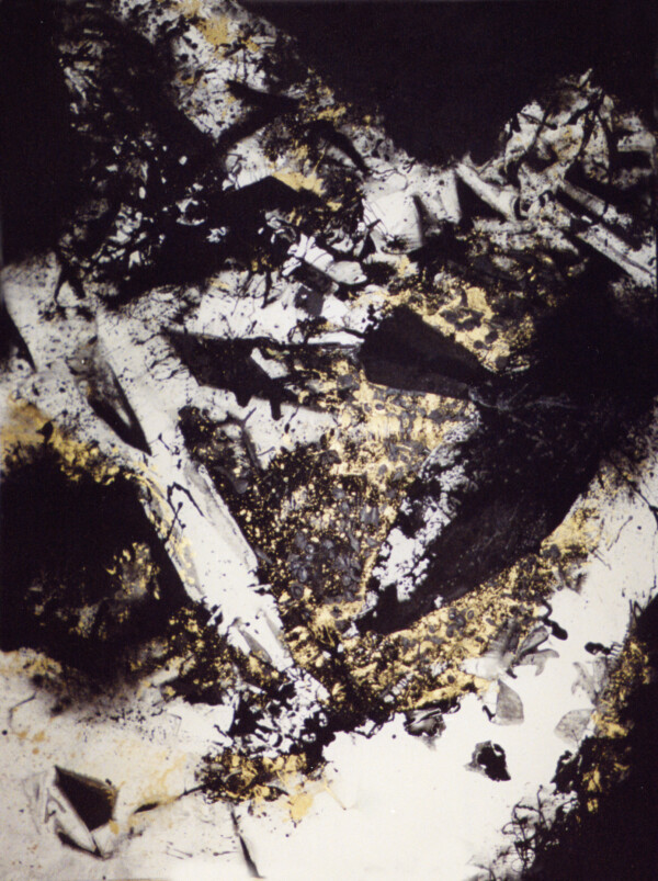 Acrilico sobre tela 260 x 195 cm. Realizado en Francia 1999
Acrilyc on canvas 260 x 195 cm. Painted in France 1999
Acrilyque sur toile 260 x 195 cm. Faite a Paris 1999