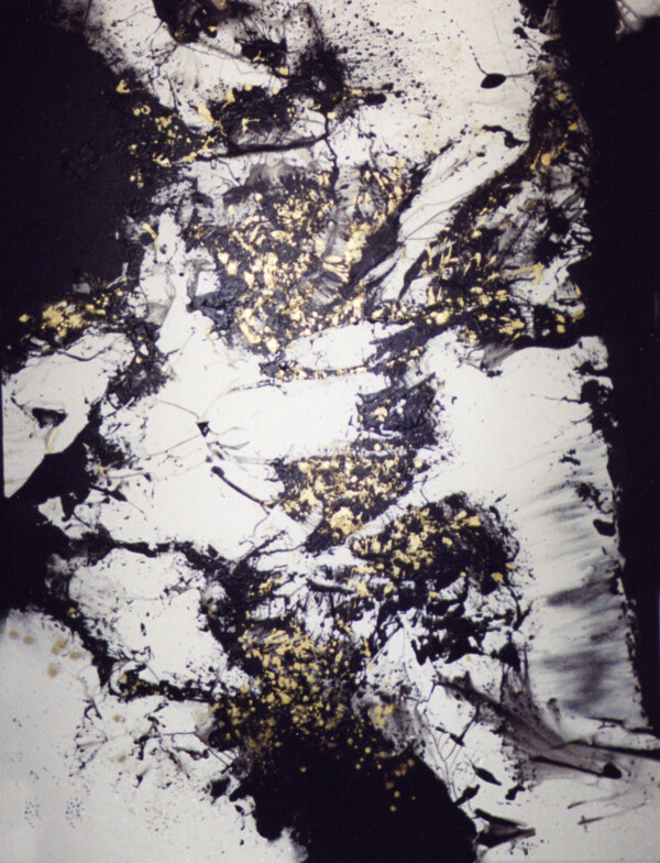 Acrilico sobre tela 260 x 195 cm. Realizado en Francia 1999
Acrilyc on canvas 260 x 195 cm. Painted in France 1999
Acrilyque sur toile 260 x 195 cm. Faite a Paris 1999