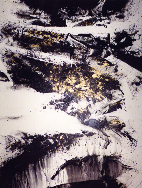 Acrilico sobre tela 260 x 195 cm. Realizado en Francia 1999
Acrilyc on canvas 260 x 195 cm. Painted in France 1999
Acrilyque sur toile 260 x 195 cm. Faite a Paris 1999