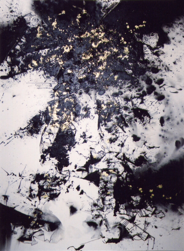 Acrilico sobre tela 260 x 195 cm. Realizado en Francia 1999
Acrilyc on canvas 260 x 195 cm. Painted in France 1999
Acrilyque sur toile 260 x 195 cm. Faite a Paris 1999