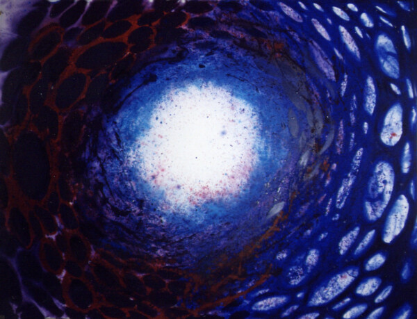 Acrilico sobre tela 195 x 260 cm. Realizado en Francia 1995
Acrilyc on canvas 195 x 260 cm. Painted in France 1995
Acrilyque sur toile 195 x 260 cm. Faite a Paris 1995