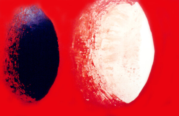 Acrilico sobre tela 195 x 260 cm. Realizado en Francia 1995
Acrylic on canvas 195 x 260 cm. Painted in France 1995
Acrylique sur toile 195 x 260 cm. Peint en France 1995