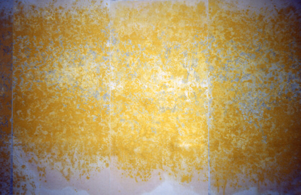 Tinta china sobre papel de arroz 180 x 550 cm. Realizado en Francia 1987
China ink on rice paper 180 x 550 cm. Painted in France 1987
Encre Chinoise sur papier de riz 180 x 550 cm. Faite a Paris 1987